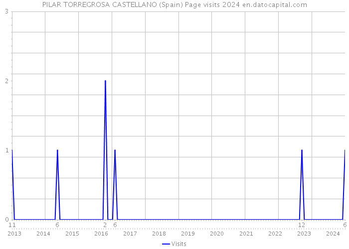 PILAR TORREGROSA CASTELLANO (Spain) Page visits 2024 