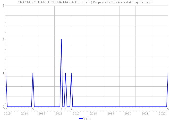 GRACIA ROLDAN LUCHENA MARIA DE (Spain) Page visits 2024 