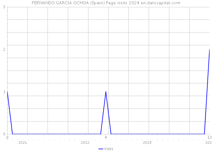 FERNANDO GARCIA OCHOA (Spain) Page visits 2024 