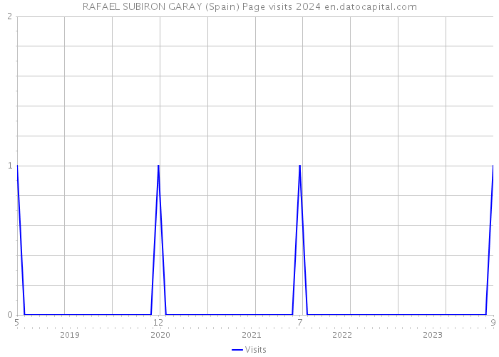 RAFAEL SUBIRON GARAY (Spain) Page visits 2024 