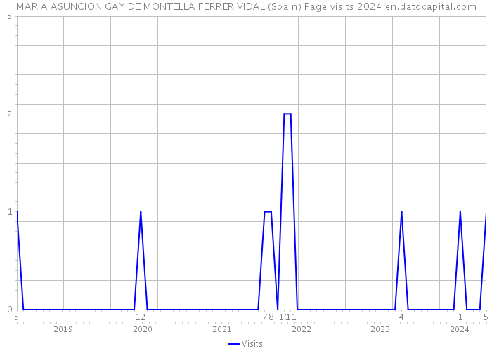 MARIA ASUNCION GAY DE MONTELLA FERRER VIDAL (Spain) Page visits 2024 