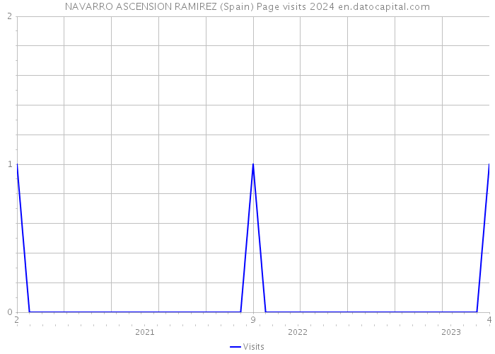 NAVARRO ASCENSION RAMIREZ (Spain) Page visits 2024 