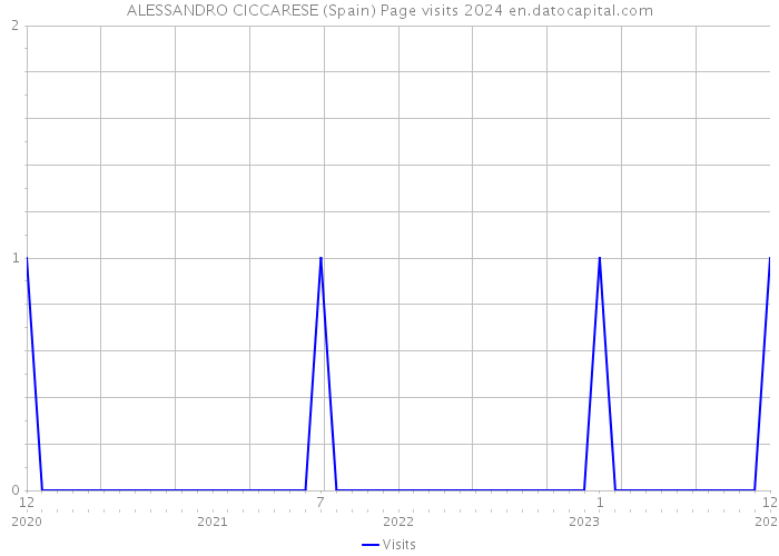 ALESSANDRO CICCARESE (Spain) Page visits 2024 