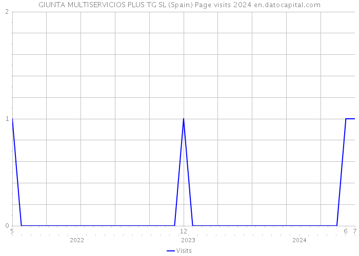 GIUNTA MULTISERVICIOS PLUS TG SL (Spain) Page visits 2024 