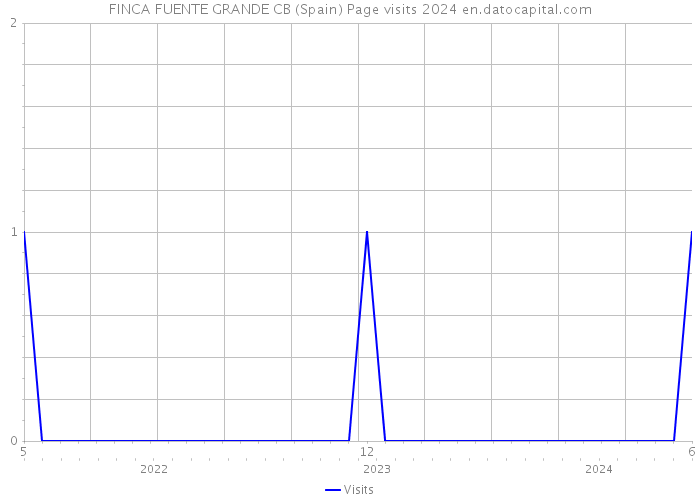 FINCA FUENTE GRANDE CB (Spain) Page visits 2024 