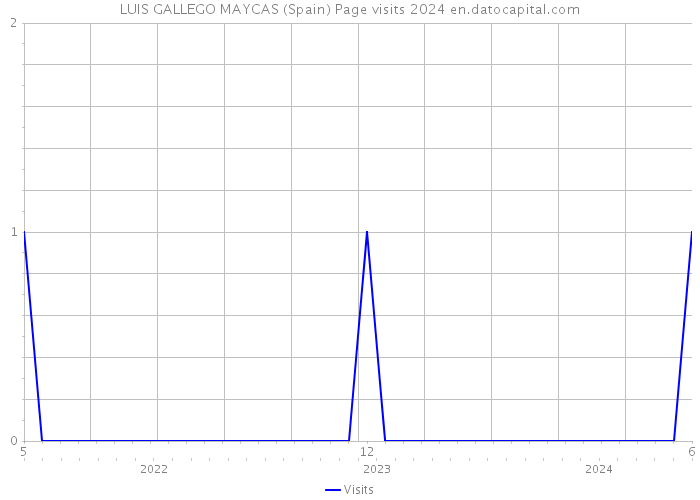 LUIS GALLEGO MAYCAS (Spain) Page visits 2024 