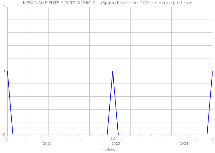 MEDIO AMBIENTE Y PATRIMONIO S.L. (Spain) Page visits 2024 