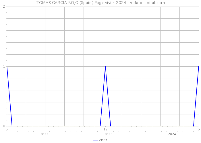 TOMAS GARCIA ROJO (Spain) Page visits 2024 