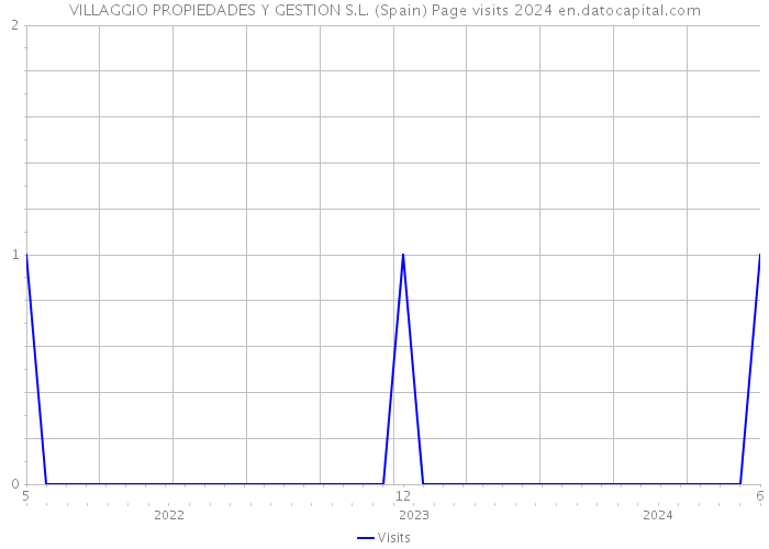 VILLAGGIO PROPIEDADES Y GESTION S.L. (Spain) Page visits 2024 