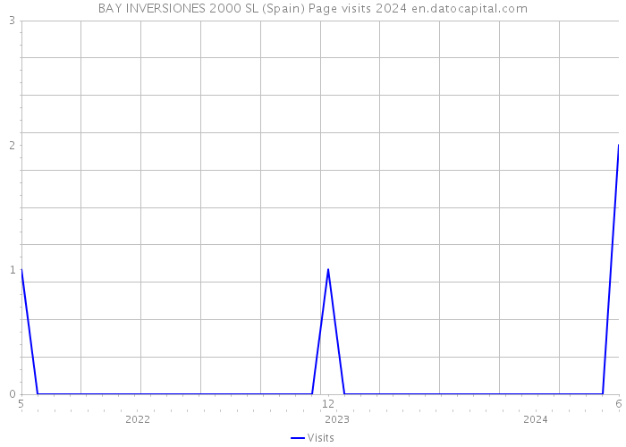 BAY INVERSIONES 2000 SL (Spain) Page visits 2024 