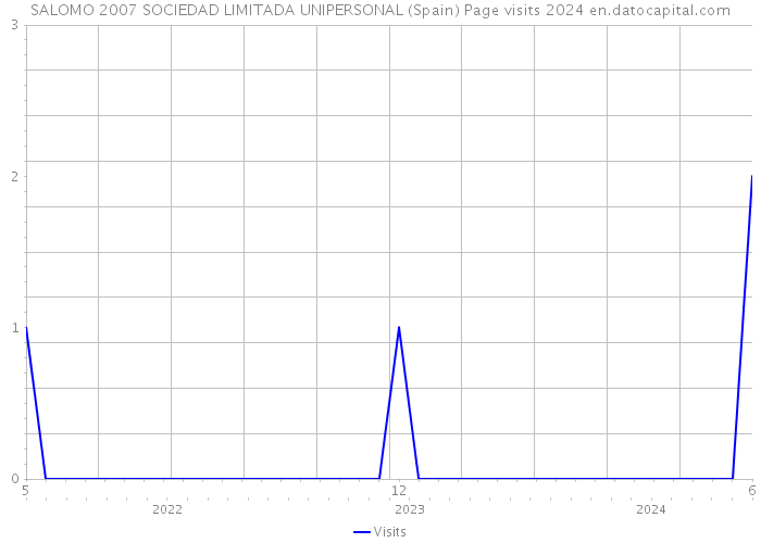 SALOMO 2007 SOCIEDAD LIMITADA UNIPERSONAL (Spain) Page visits 2024 
