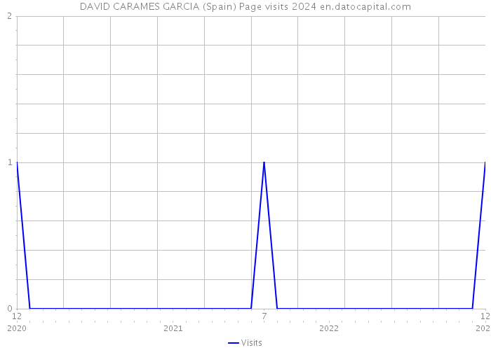 DAVID CARAMES GARCIA (Spain) Page visits 2024 