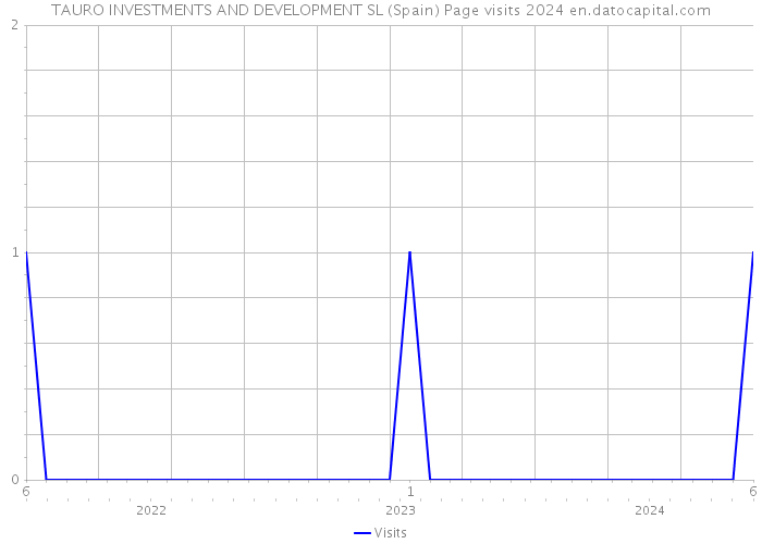 TAURO INVESTMENTS AND DEVELOPMENT SL (Spain) Page visits 2024 