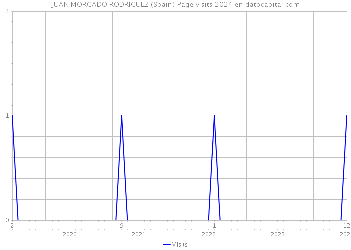 JUAN MORGADO RODRIGUEZ (Spain) Page visits 2024 