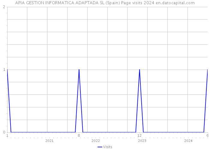 APIA GESTION INFORMATICA ADAPTADA SL (Spain) Page visits 2024 