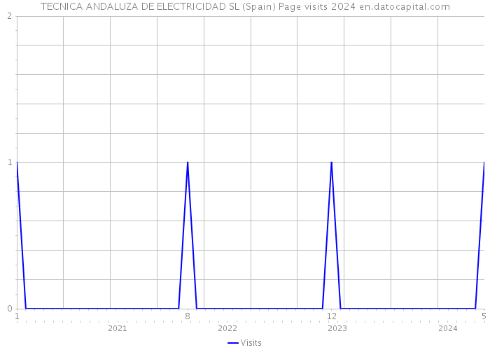 TECNICA ANDALUZA DE ELECTRICIDAD SL (Spain) Page visits 2024 