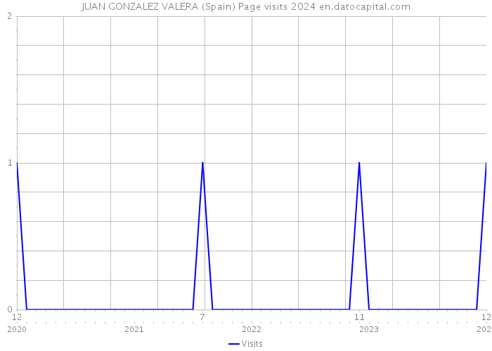 JUAN GONZALEZ VALERA (Spain) Page visits 2024 