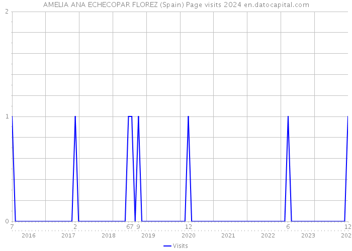 AMELIA ANA ECHECOPAR FLOREZ (Spain) Page visits 2024 