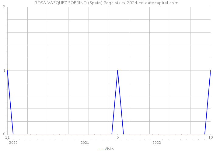 ROSA VAZQUEZ SOBRINO (Spain) Page visits 2024 