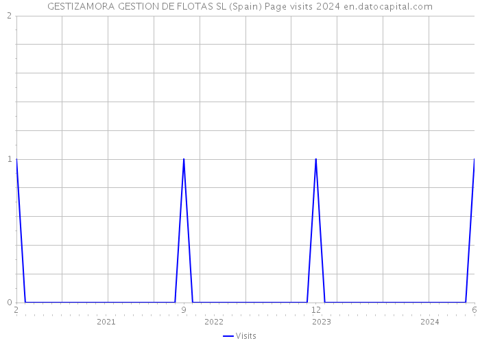 GESTIZAMORA GESTION DE FLOTAS SL (Spain) Page visits 2024 