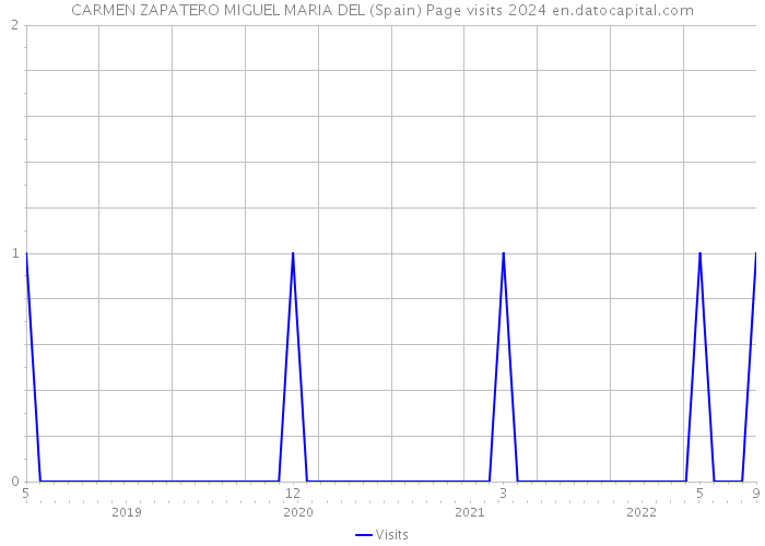 CARMEN ZAPATERO MIGUEL MARIA DEL (Spain) Page visits 2024 