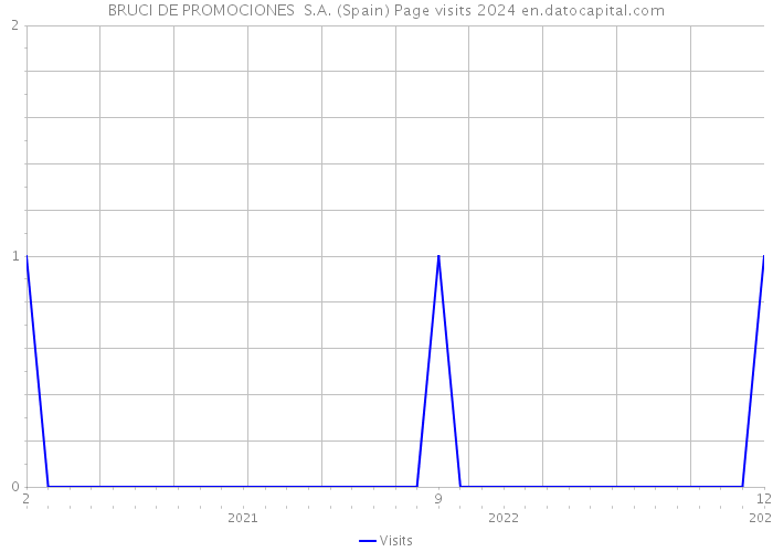 BRUCI DE PROMOCIONES S.A. (Spain) Page visits 2024 