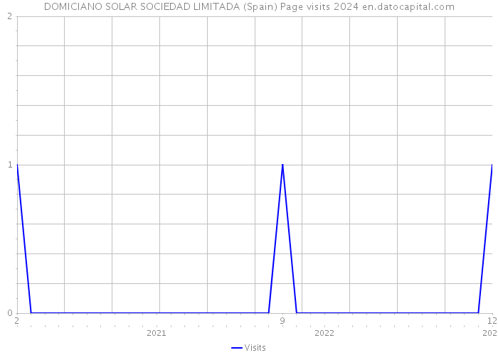 DOMICIANO SOLAR SOCIEDAD LIMITADA (Spain) Page visits 2024 