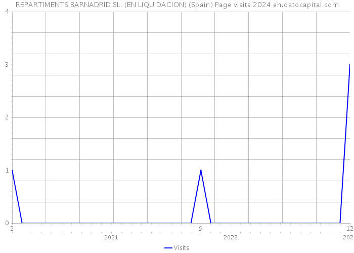 REPARTIMENTS BARNADRID SL. (EN LIQUIDACION) (Spain) Page visits 2024 