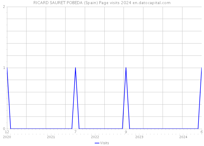 RICARD SAURET POBEDA (Spain) Page visits 2024 