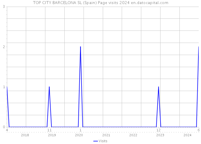 TOP CITY BARCELONA SL (Spain) Page visits 2024 