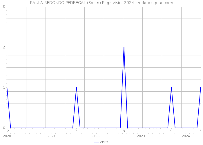 PAULA REDONDO PEDREGAL (Spain) Page visits 2024 
