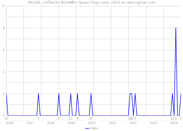 MIGUEL CAÑADAS BOUWEN (Spain) Page visits 2024 