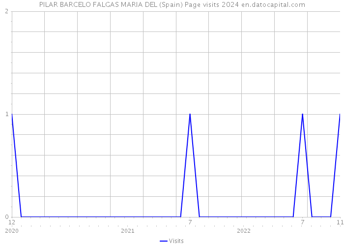 PILAR BARCELO FALGAS MARIA DEL (Spain) Page visits 2024 