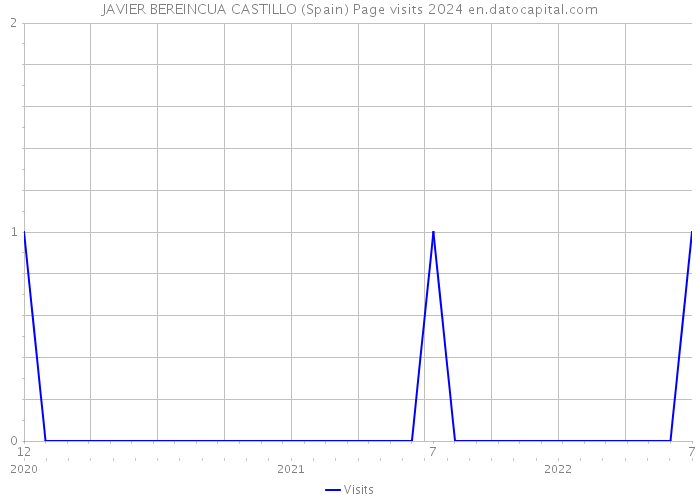 JAVIER BEREINCUA CASTILLO (Spain) Page visits 2024 