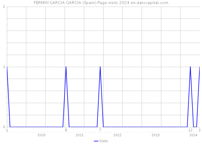 FERMIN GARCIA GARCIA (Spain) Page visits 2024 