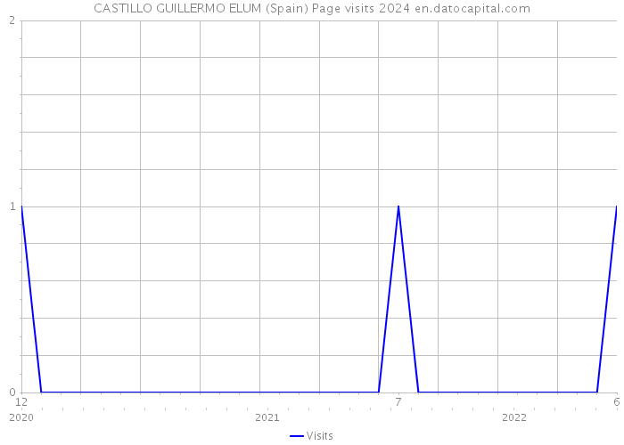 CASTILLO GUILLERMO ELUM (Spain) Page visits 2024 