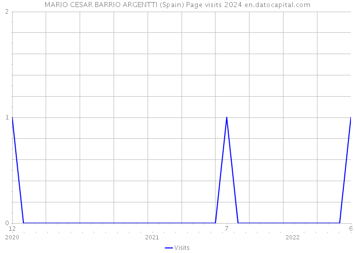 MARIO CESAR BARRIO ARGENTTI (Spain) Page visits 2024 