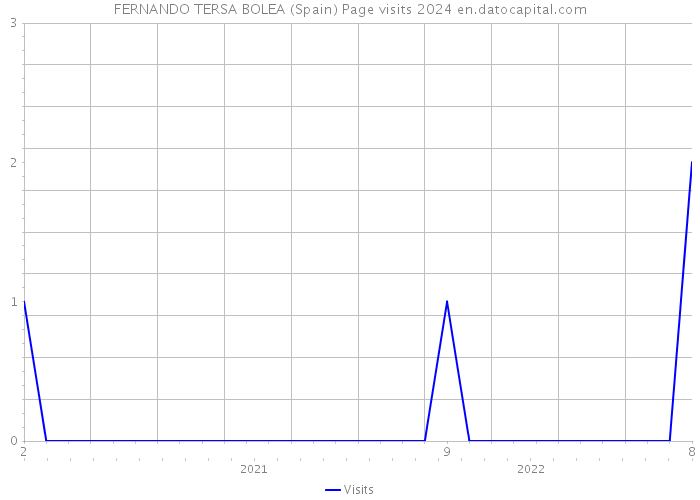 FERNANDO TERSA BOLEA (Spain) Page visits 2024 