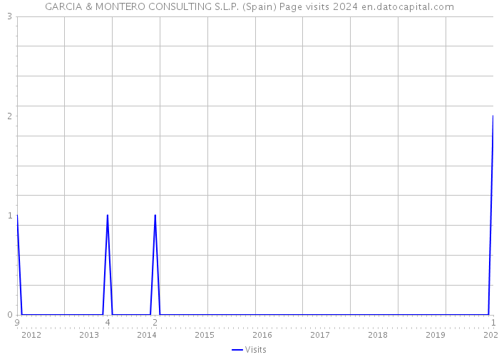 GARCIA & MONTERO CONSULTING S.L.P. (Spain) Page visits 2024 