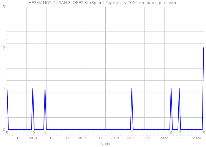 HERMANOS DURAN FLORES SL (Spain) Page visits 2024 