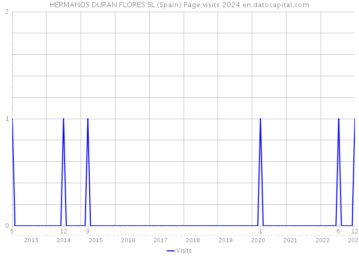 HERMANOS DURAN FLORES SL (Spain) Page visits 2024 