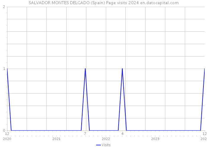 SALVADOR MONTES DELGADO (Spain) Page visits 2024 