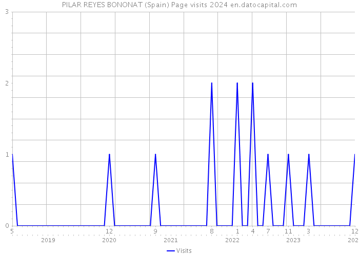 PILAR REYES BONONAT (Spain) Page visits 2024 