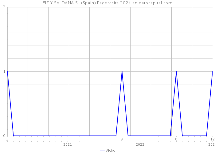 FIZ Y SALDANA SL (Spain) Page visits 2024 