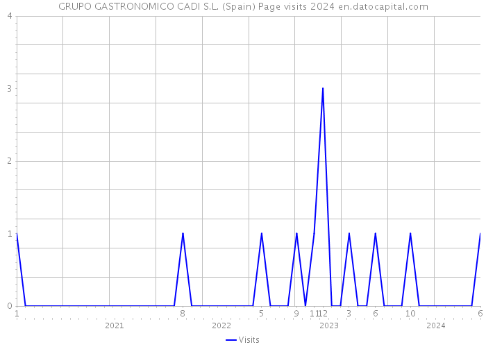 GRUPO GASTRONOMICO CADI S.L. (Spain) Page visits 2024 