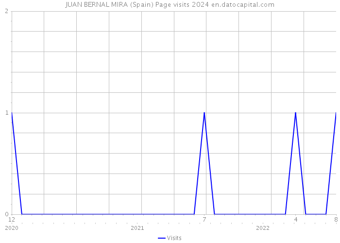 JUAN BERNAL MIRA (Spain) Page visits 2024 