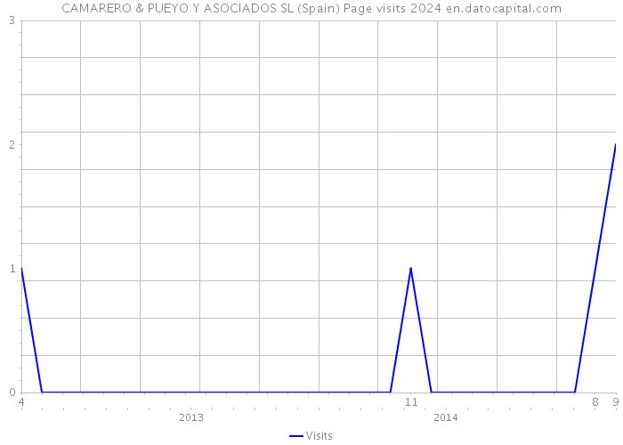 CAMARERO & PUEYO Y ASOCIADOS SL (Spain) Page visits 2024 