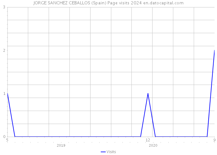 JORGE SANCHEZ CEBALLOS (Spain) Page visits 2024 
