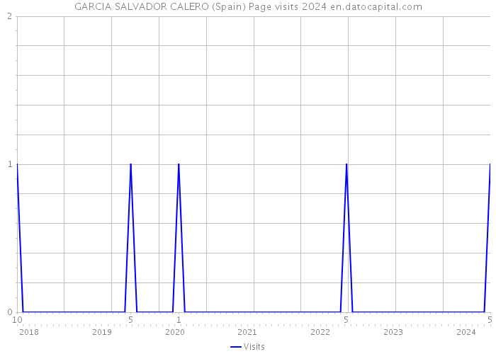 GARCIA SALVADOR CALERO (Spain) Page visits 2024 