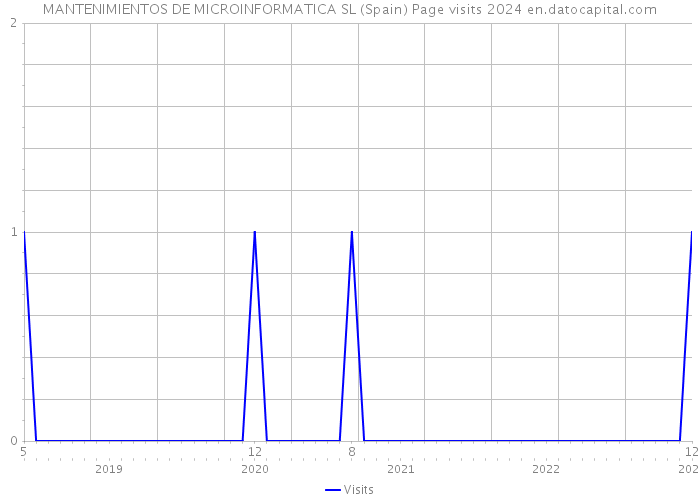 MANTENIMIENTOS DE MICROINFORMATICA SL (Spain) Page visits 2024 